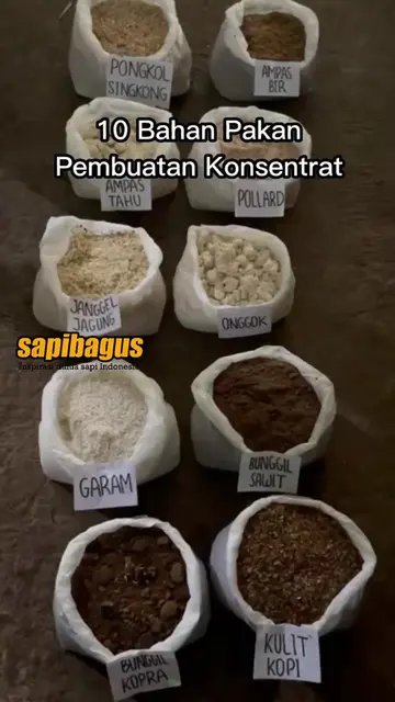 10-Bahan-Pakan-Ternak-Pembuatan-Konsentrat